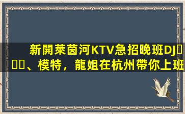 新開萊茵河KTV急招晚班DJ、模特，龍姐在杭州帶你上班
